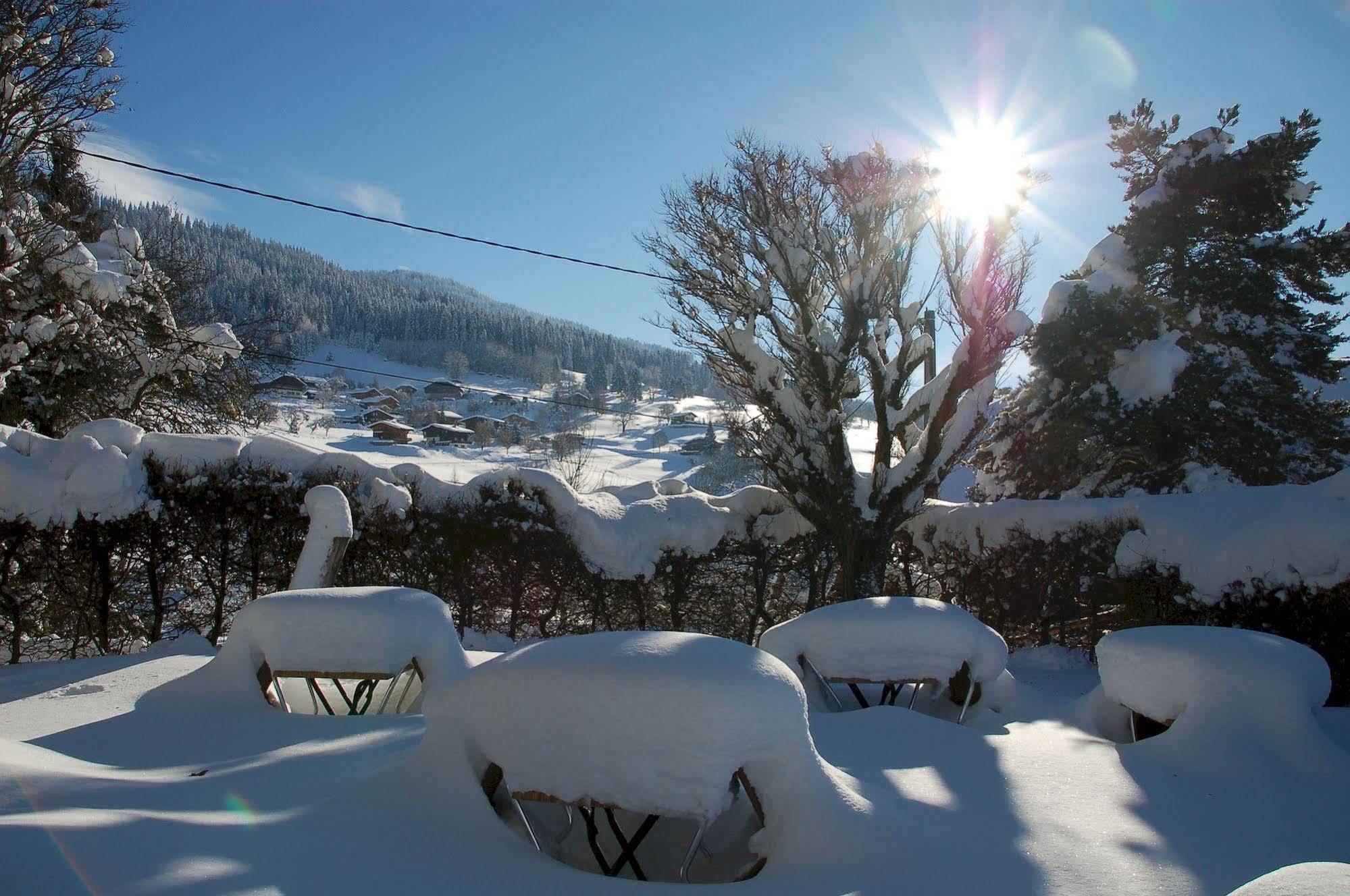 Hotel Le Caprice Des Neiges Combloux Exterior photo